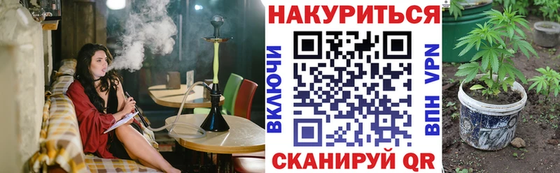 Шишки марихуана конопля  Судогда 